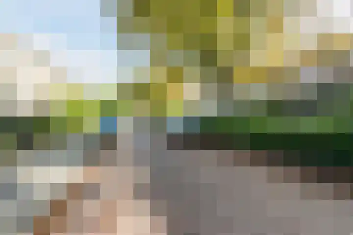 St Jansweg 9 Eindhoven thumbnail 42