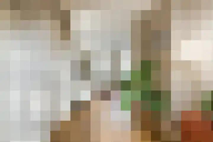 St Jansweg 9 Eindhoven thumbnail 7