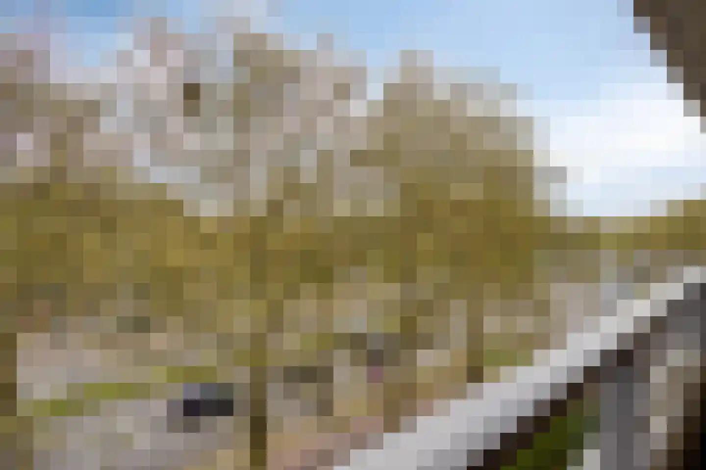 St Jorislaan 102 Eindhoven thumbnail 31