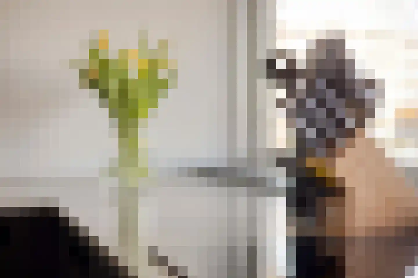 St Jorislaan 106 Eindhoven thumbnail 37