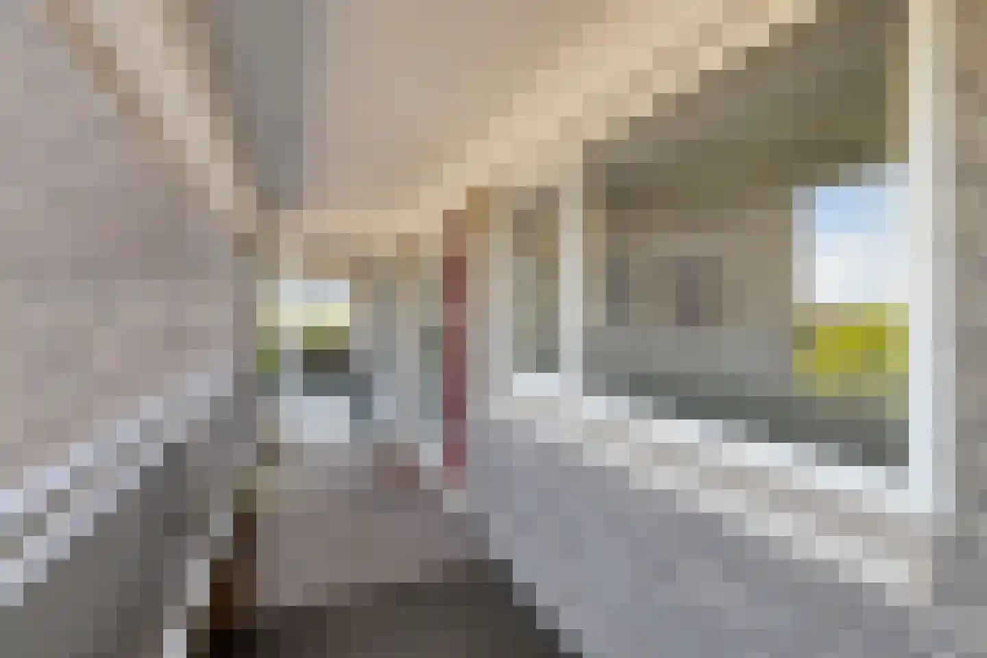 St Jorislaan 110 Eindhoven thumbnail 8