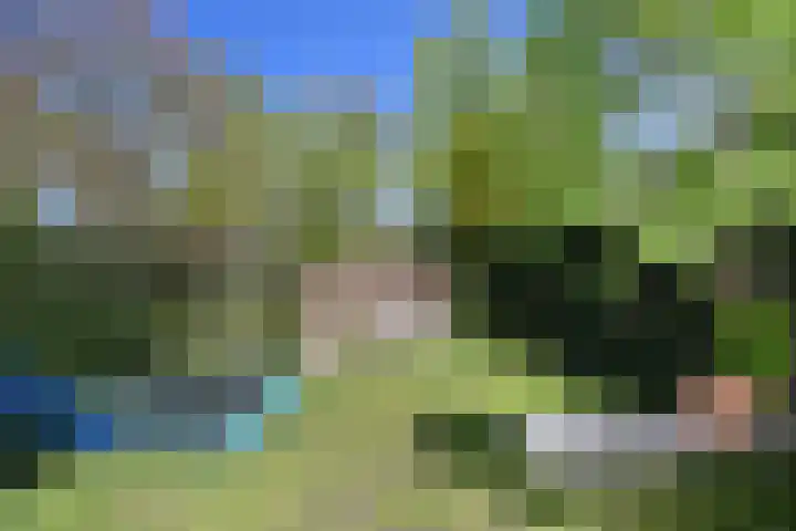 St Jorislaan 38 Eindhoven thumbnail 35
