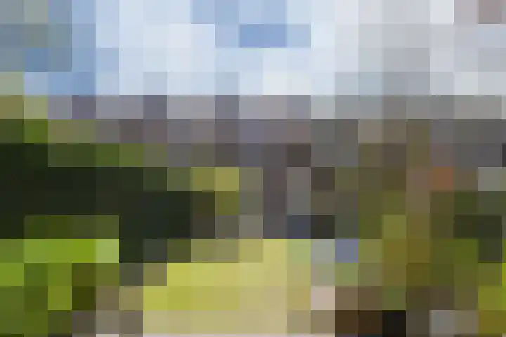 St Jorislaan 38 Eindhoven thumbnail 37