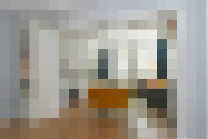St Jorislaan 38 Eindhoven thumbnail 7