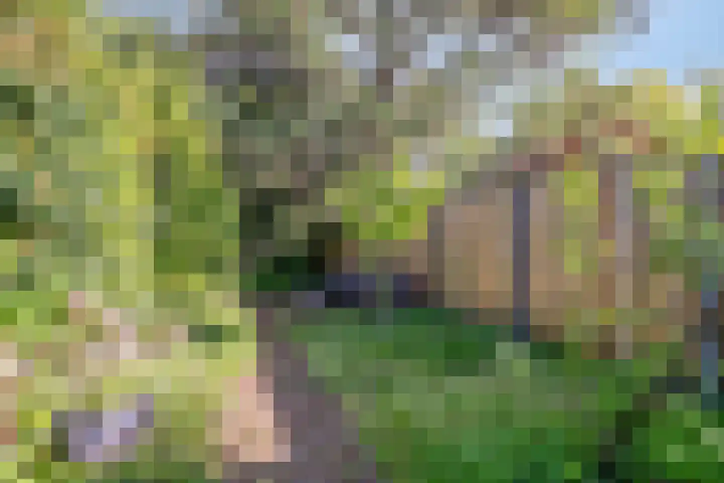 St Jorislaan 46 Eindhoven thumbnail 44