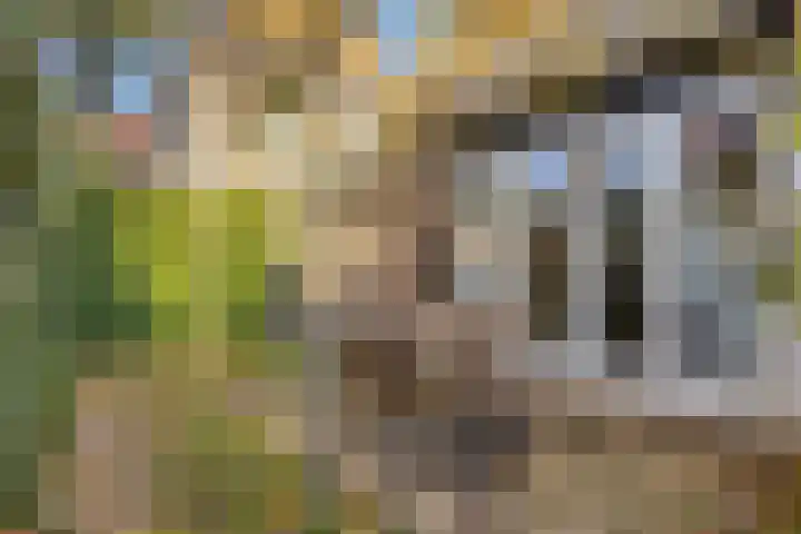 St Jorislaan 74 Eindhoven thumbnail 23
