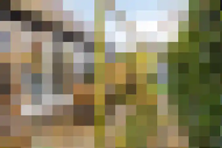 St Jorislaan 74 Eindhoven thumbnail 24