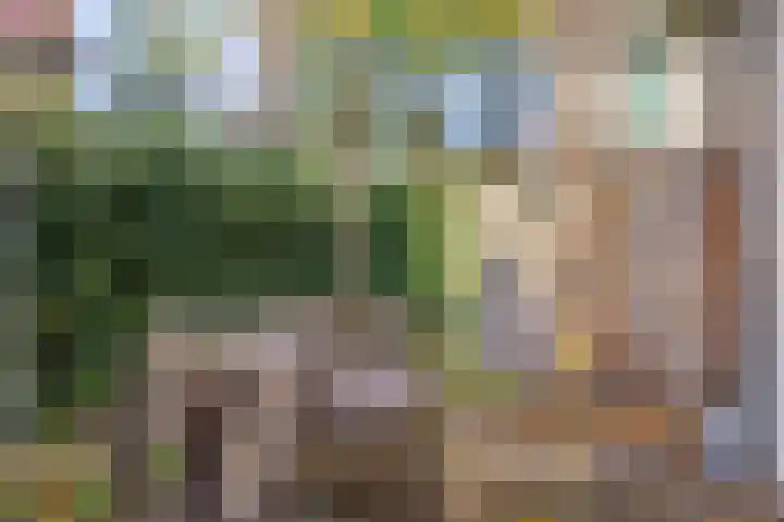 St Jorislaan 74 Eindhoven thumbnail 5