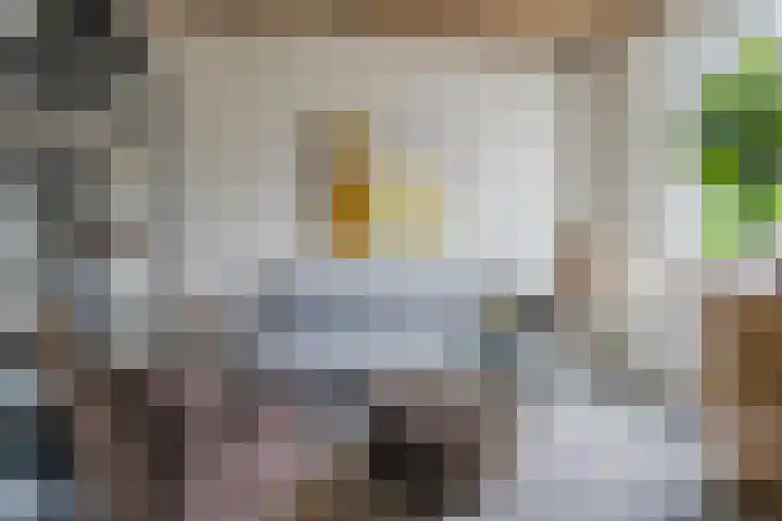 St Jorislaan 90 Eindhoven thumbnail 11