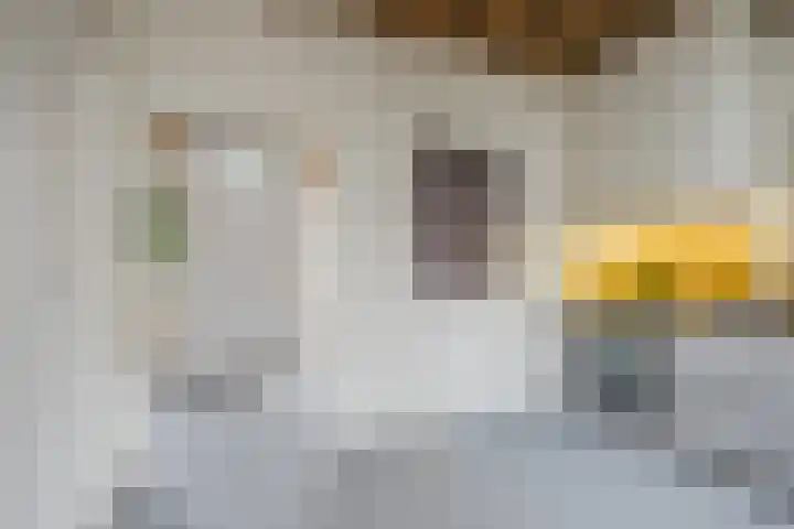St Jorislaan 90 Eindhoven thumbnail 15