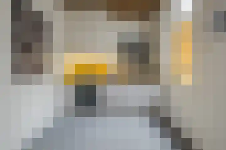 St Jorislaan 90 Eindhoven thumbnail 18
