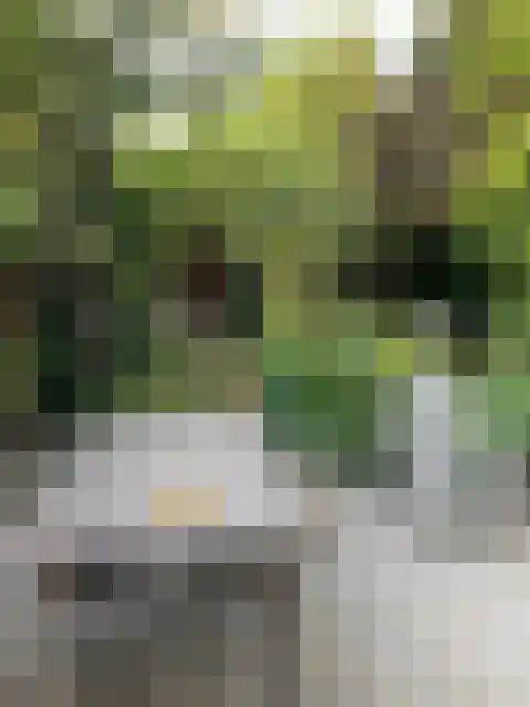 St Jorislaan 90 Eindhoven thumbnail 34