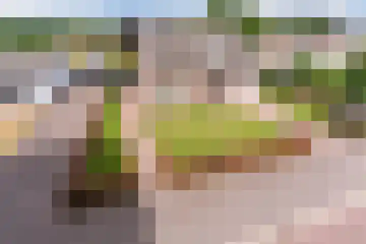 St. Jorisstraat 14 Oost West en Middelbeers