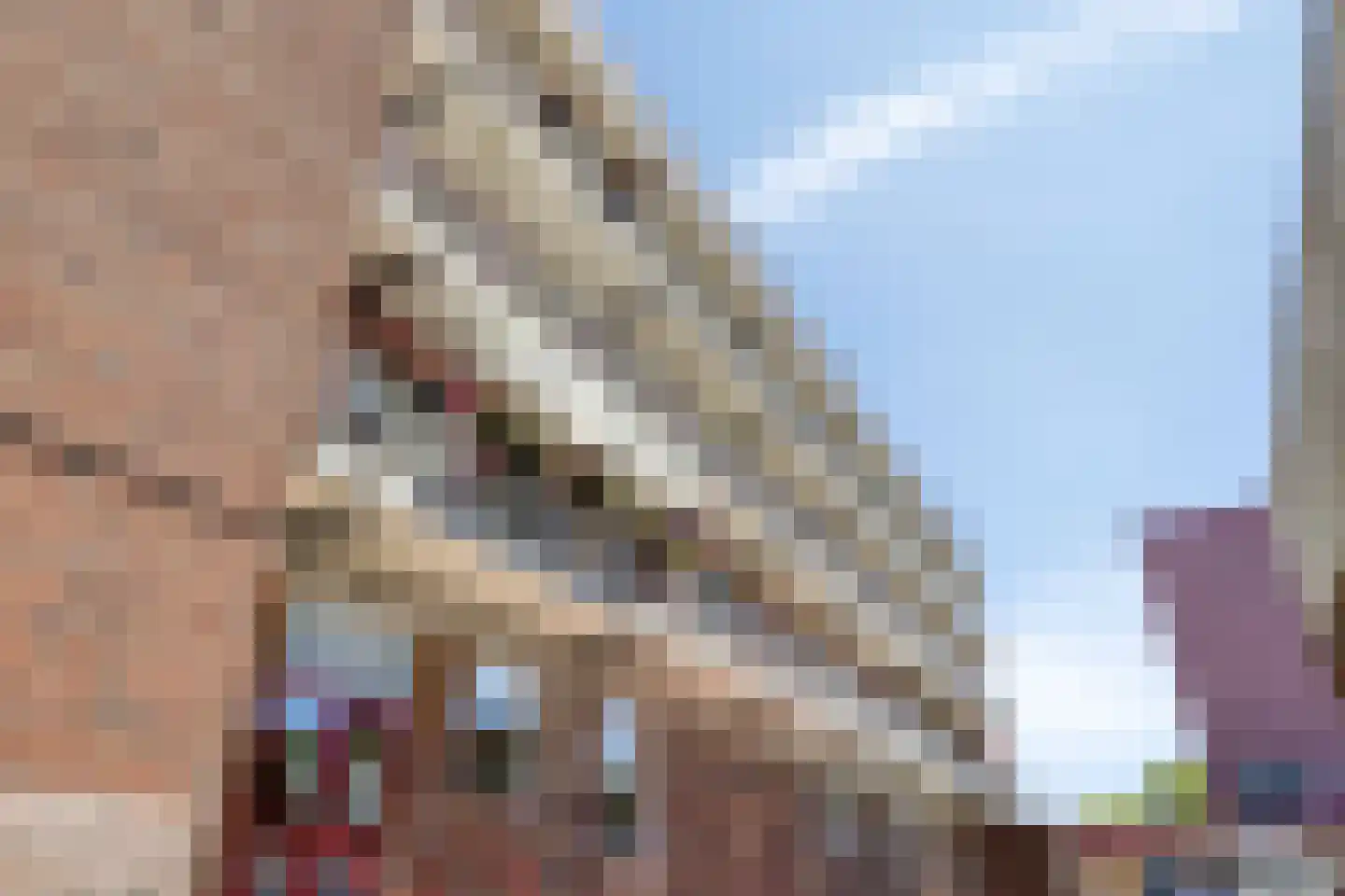 St. Jorisstraat 54 Nijmegen thumbnail 7