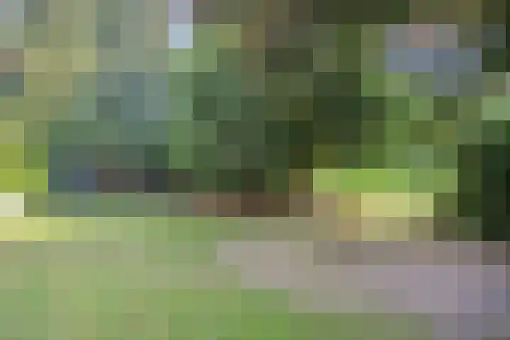 St. Jorisweg 18 Hegelsom thumbnail 38