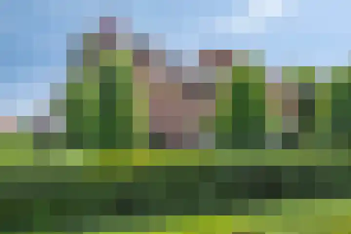 St. Jorisweg 18 Hegelsom thumbnail 45