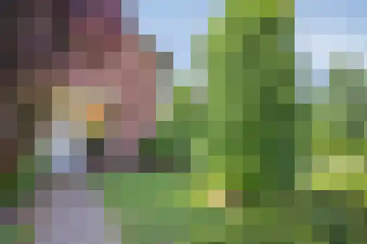 St. Jorisweg 18 Hegelsom thumbnail 5