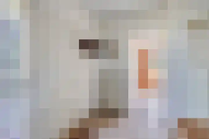 St. Jorisweg 18 Hegelsom thumbnail 6