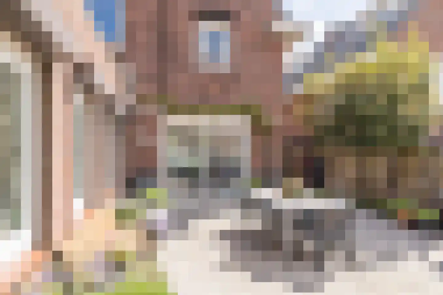 St. Josephstraat 11 Hoensbroek thumbnail 35