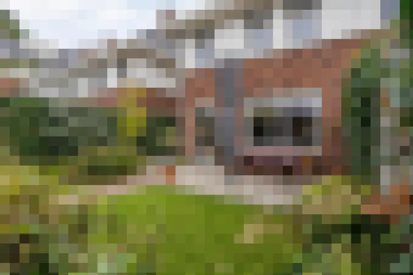 St. Josephstraat 22 Almelo thumbnail 31