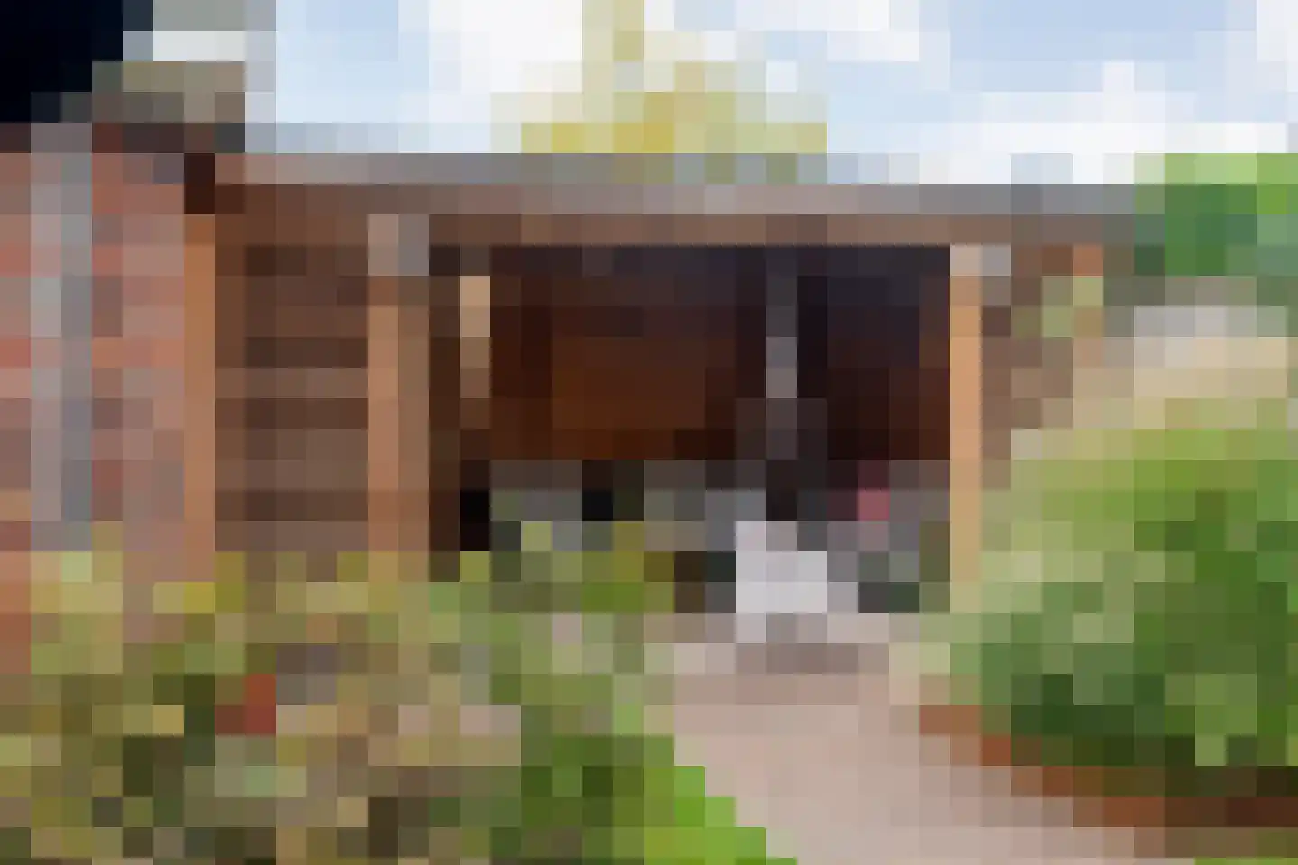 St. Josephstraat 22 Almelo thumbnail 36