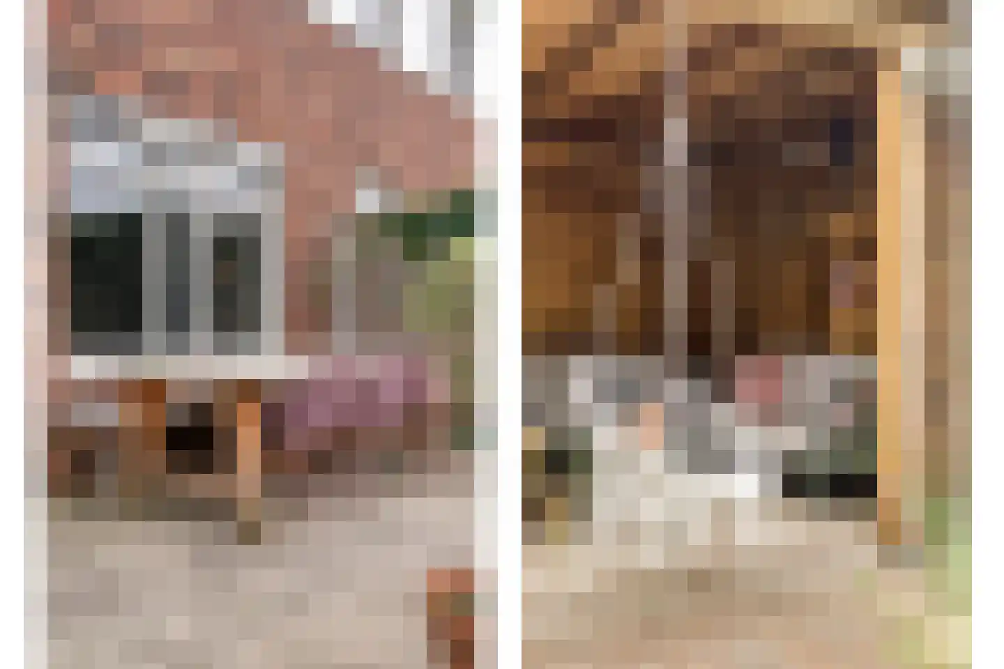 St. Josephstraat 22 Almelo thumbnail 37