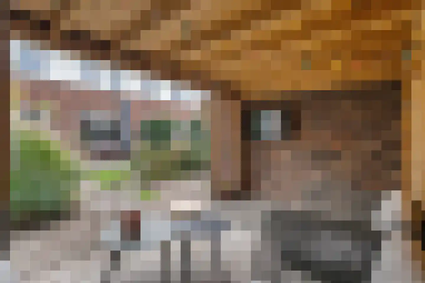 St. Josephstraat 22 Almelo thumbnail 39