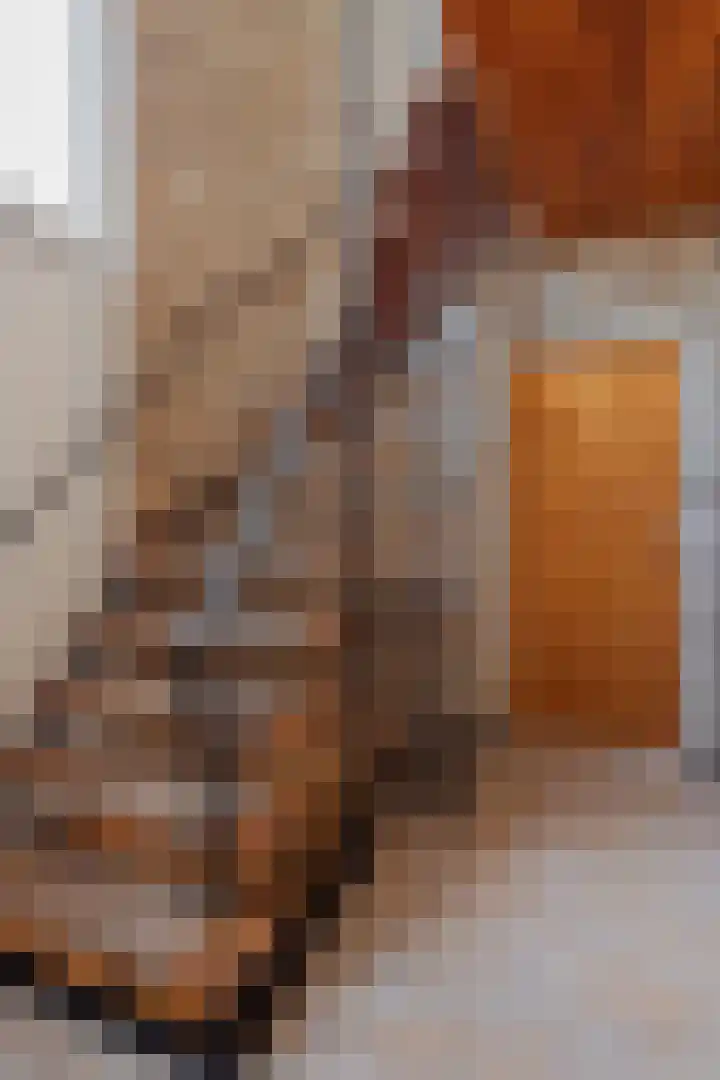 St. Josephstraat 23 Horst thumbnail 23
