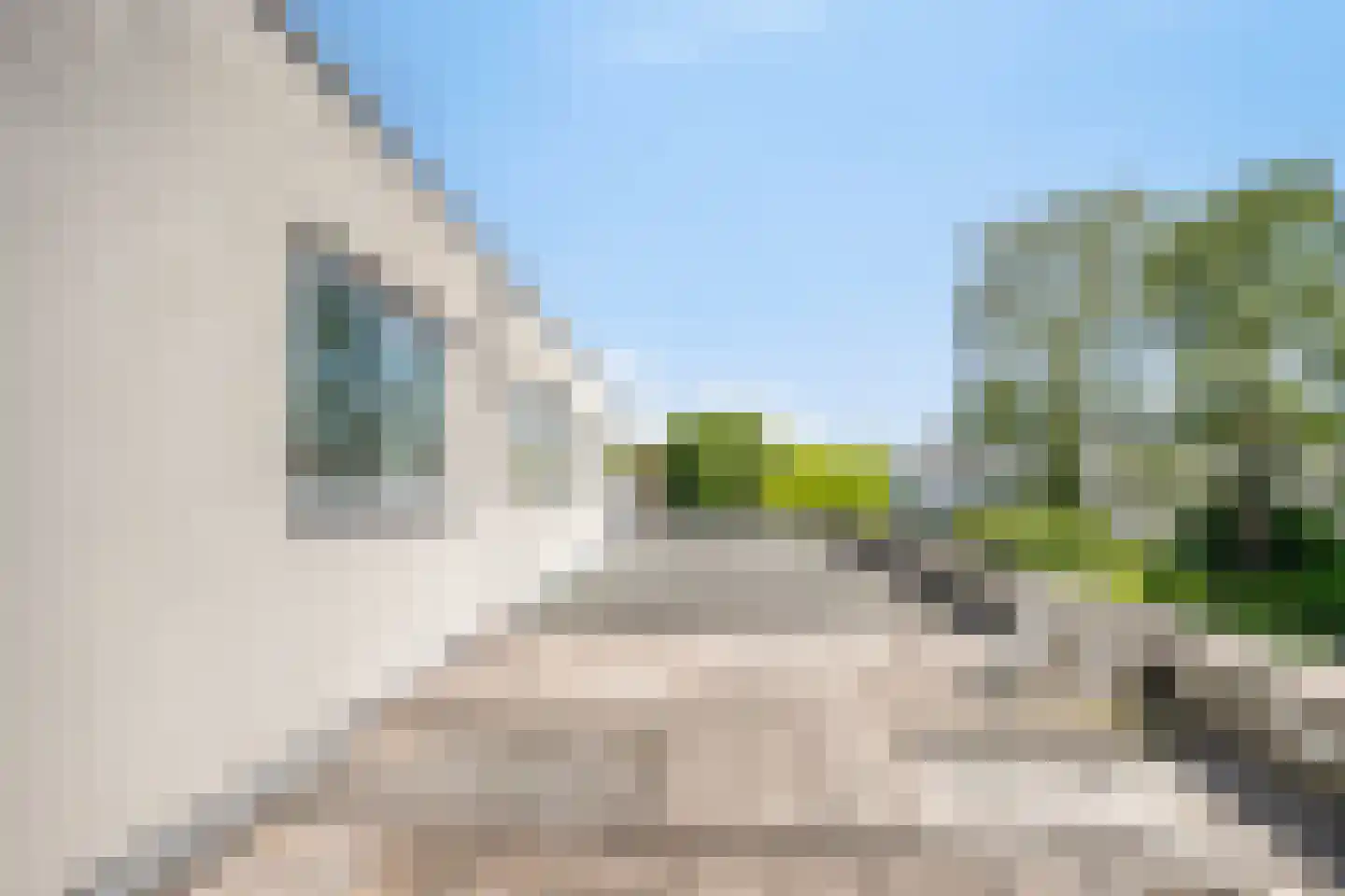 St. Josephstraat 9 Horst thumbnail 49