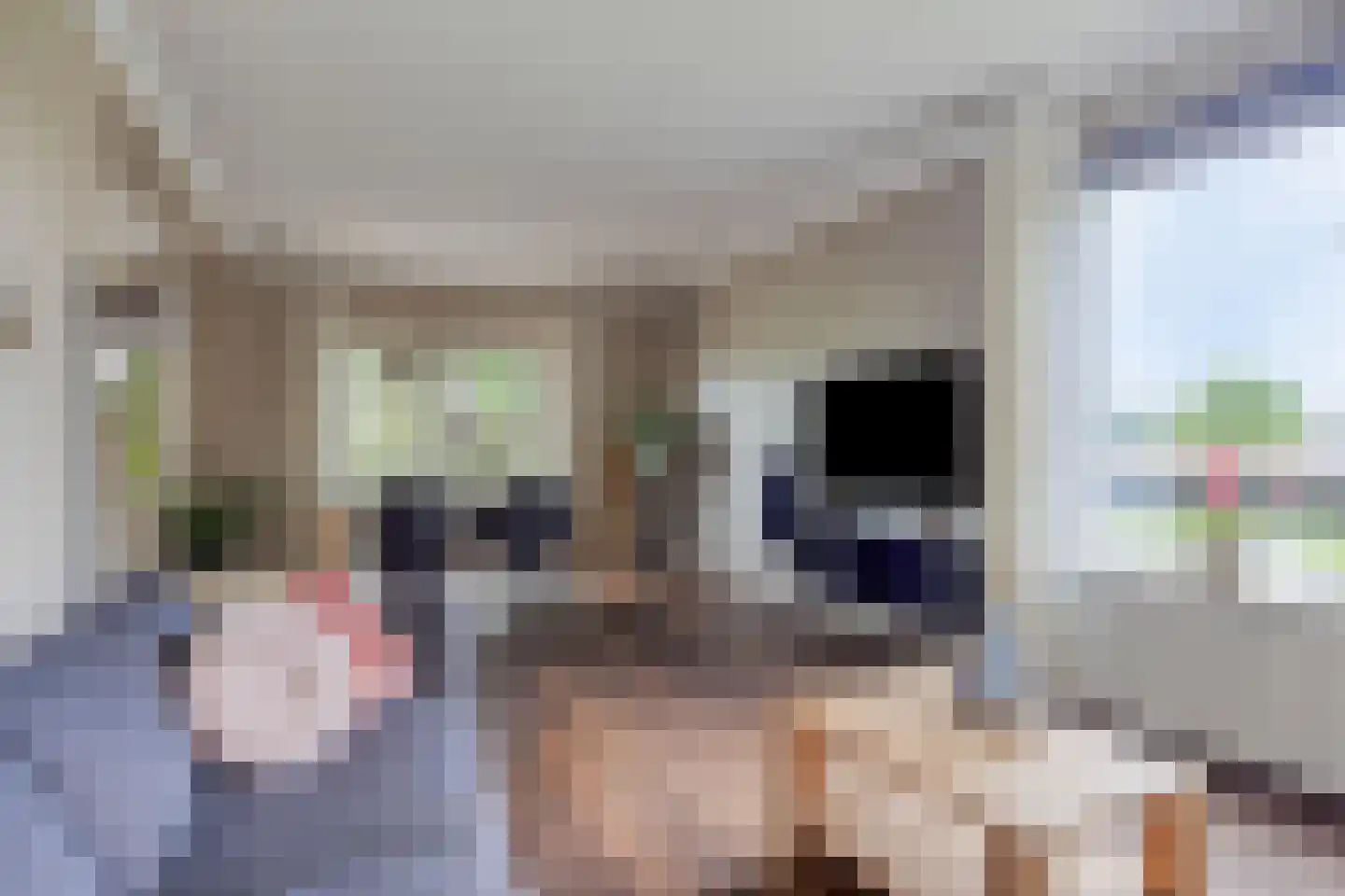 St. Jozeflaan 4 Smakt thumbnail 12
