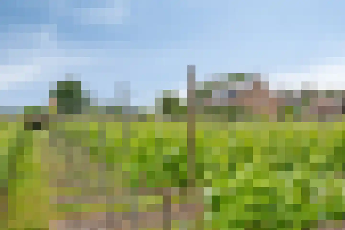 St. Jozeflaan 4 Smakt thumbnail 4