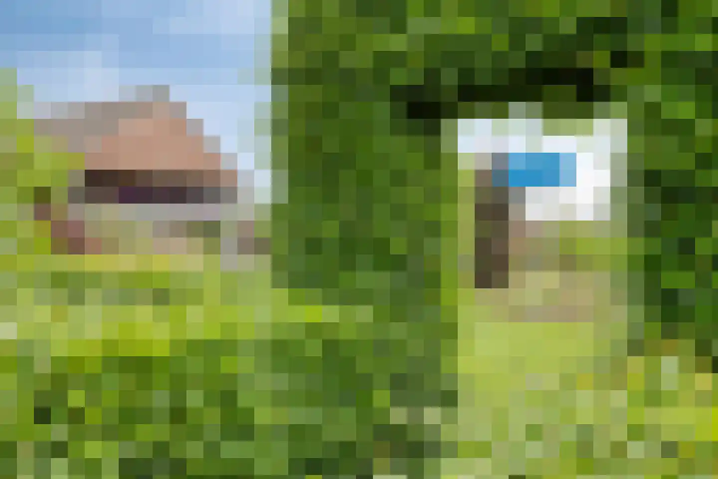 St. Jozeflaan 4 Smakt thumbnail 41