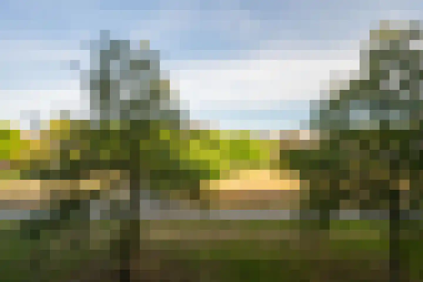 St. Jozefweg 16 Venray thumbnail 31
