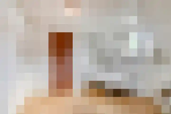 St. Jozefweg 190 Venray thumbnail 30