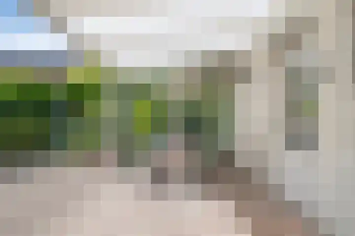 St. Jozefweg 190 Venray thumbnail 38