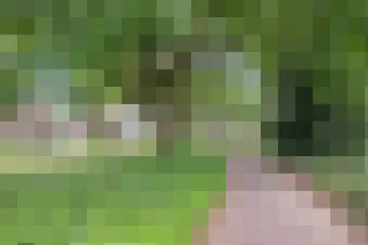 St. Jozefweg 190 Venray thumbnail 47
