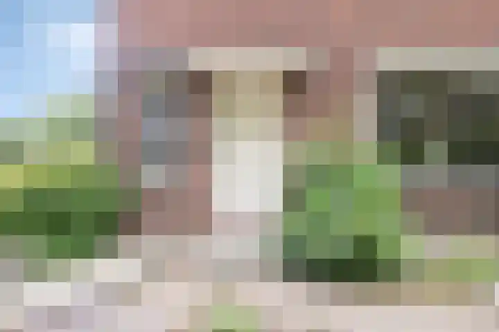 St. Jozefweg 190 Venray thumbnail 7