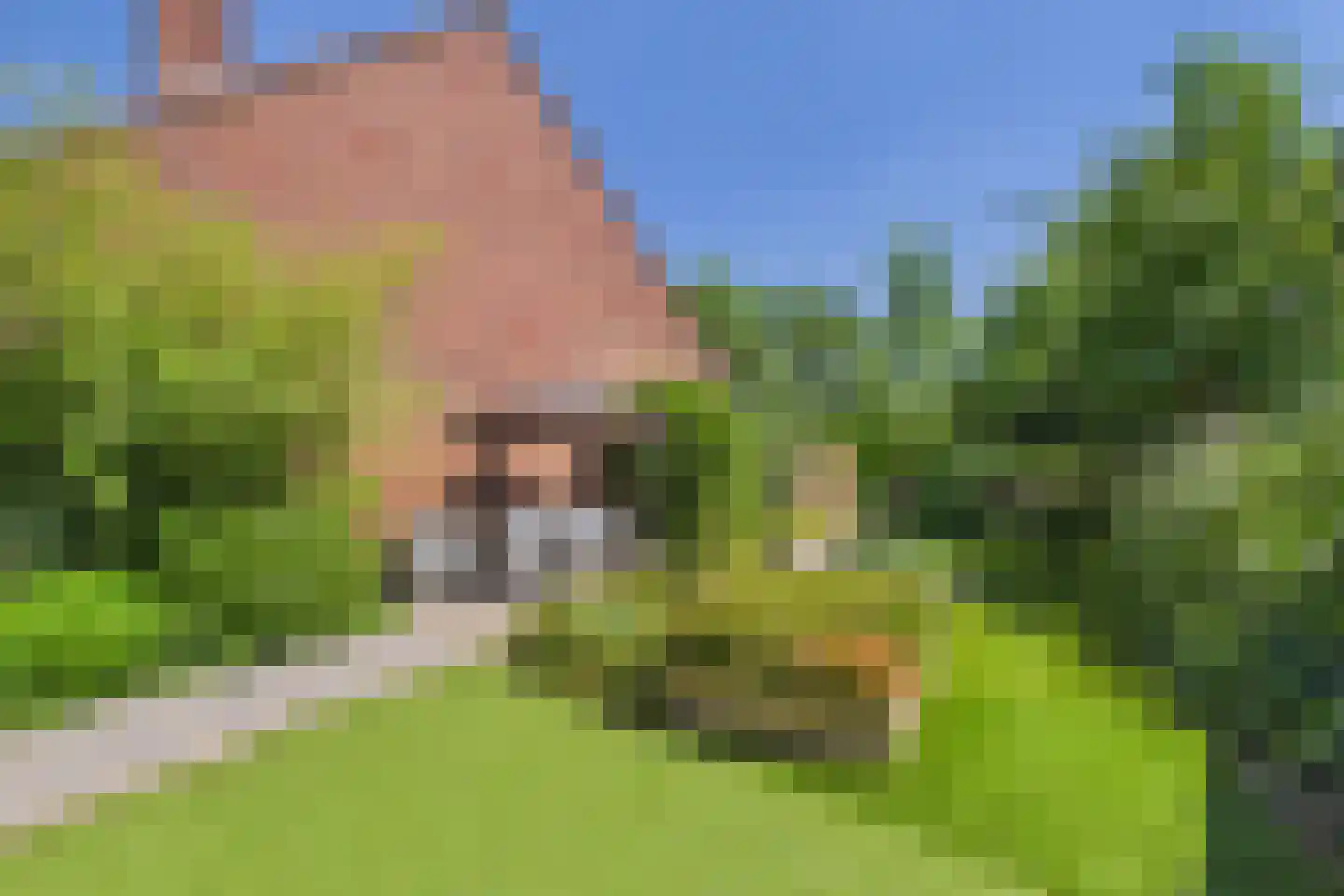St. Katrijnstraat 17 Zuiddorpe thumbnail 33