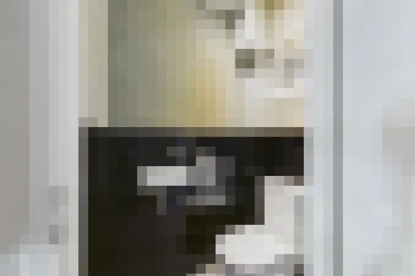 St. Katrijnstraat 17 Zuiddorpe thumbnail 8