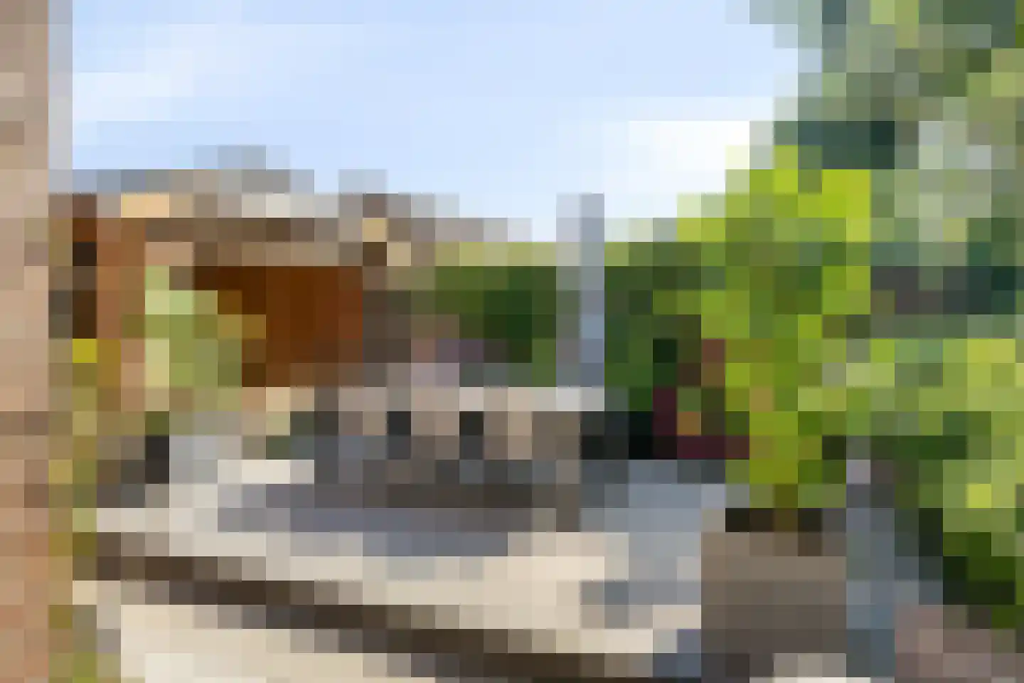 St. Katrijnstraat 6 Zuiddorpe thumbnail 26