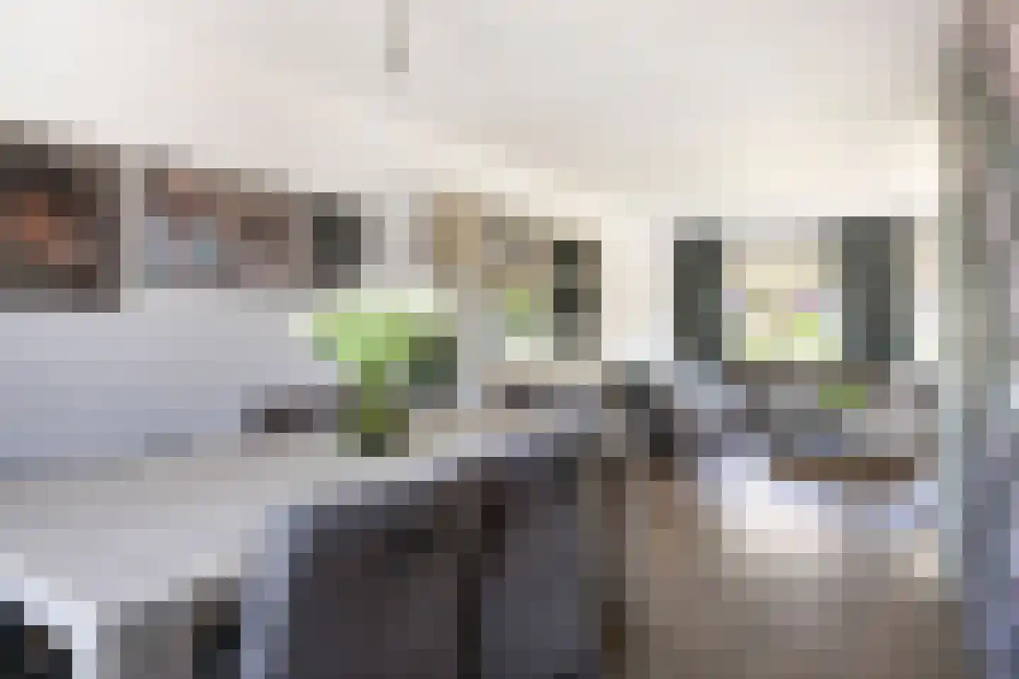 St. Katrijnstraat 6 Zuiddorpe thumbnail 7