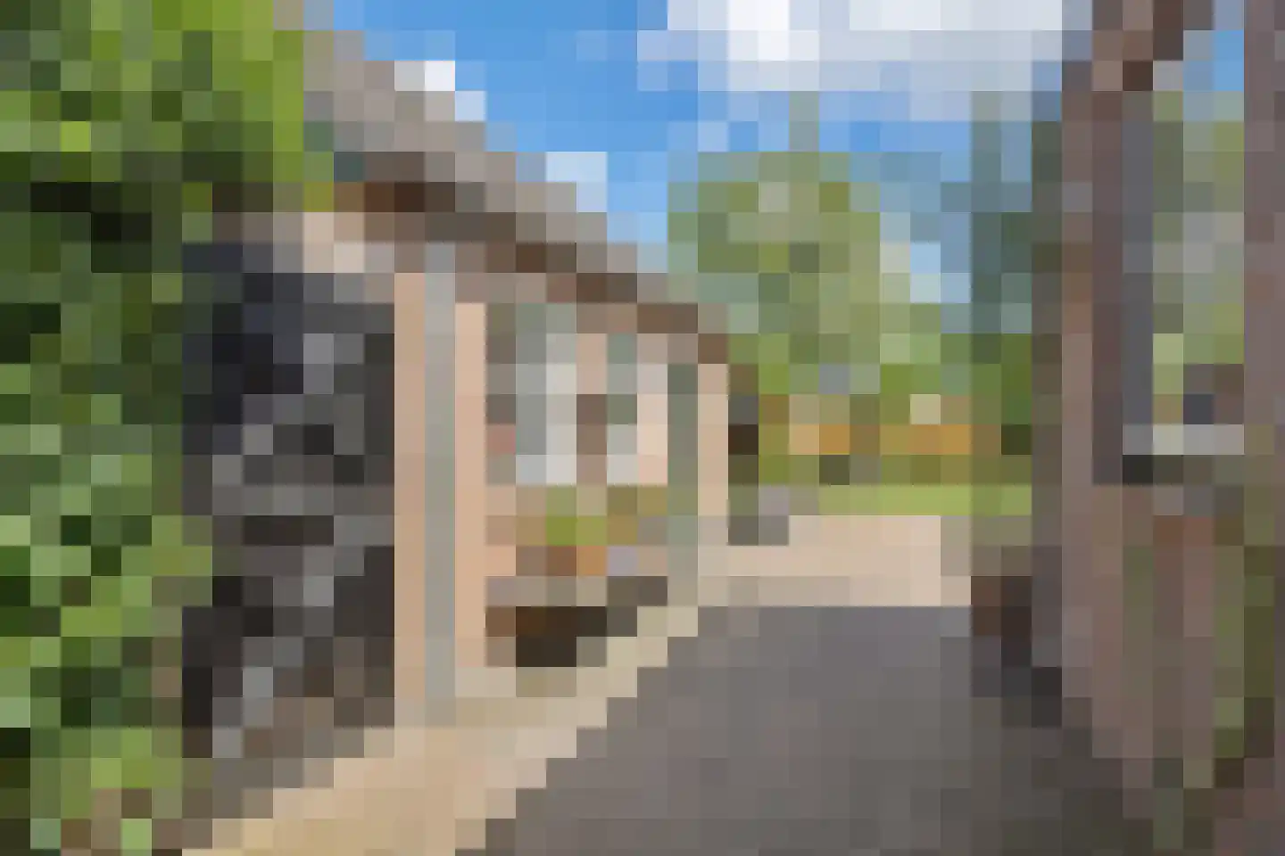 St.-Lambertusstraat 11 A Cromvoirt thumbnail 46