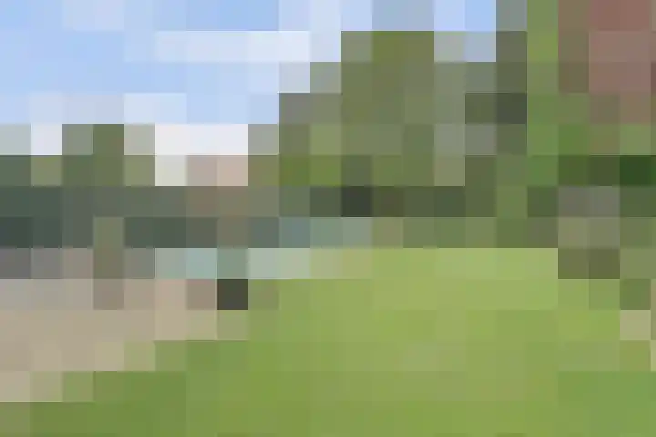 St.-Lambertusstraat 14 Cromvoirt thumbnail 4