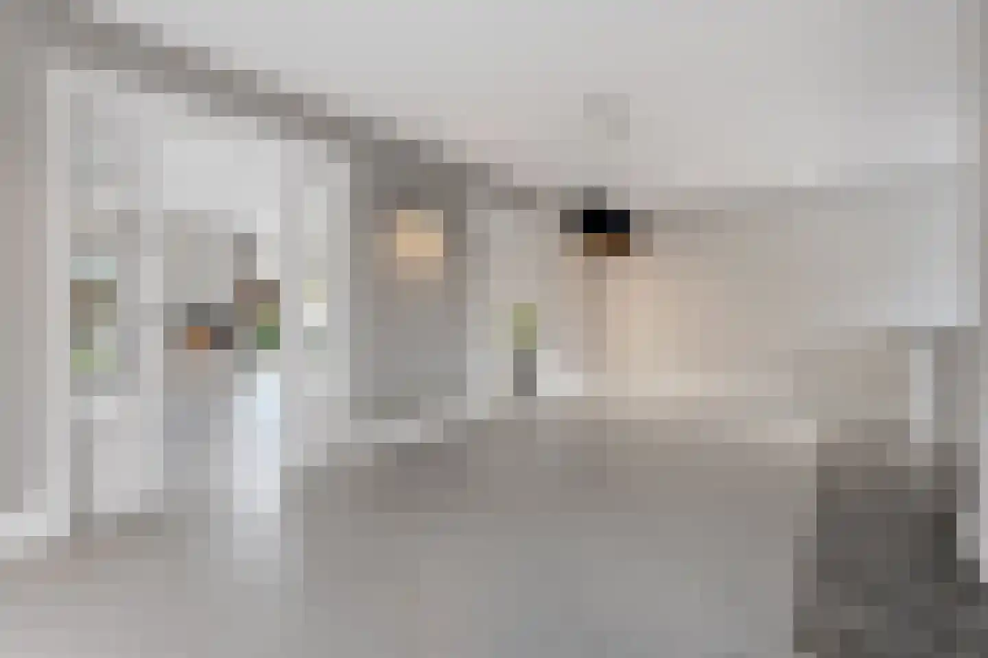 St.-Lambertusstraat 25 Cromvoirt thumbnail 4