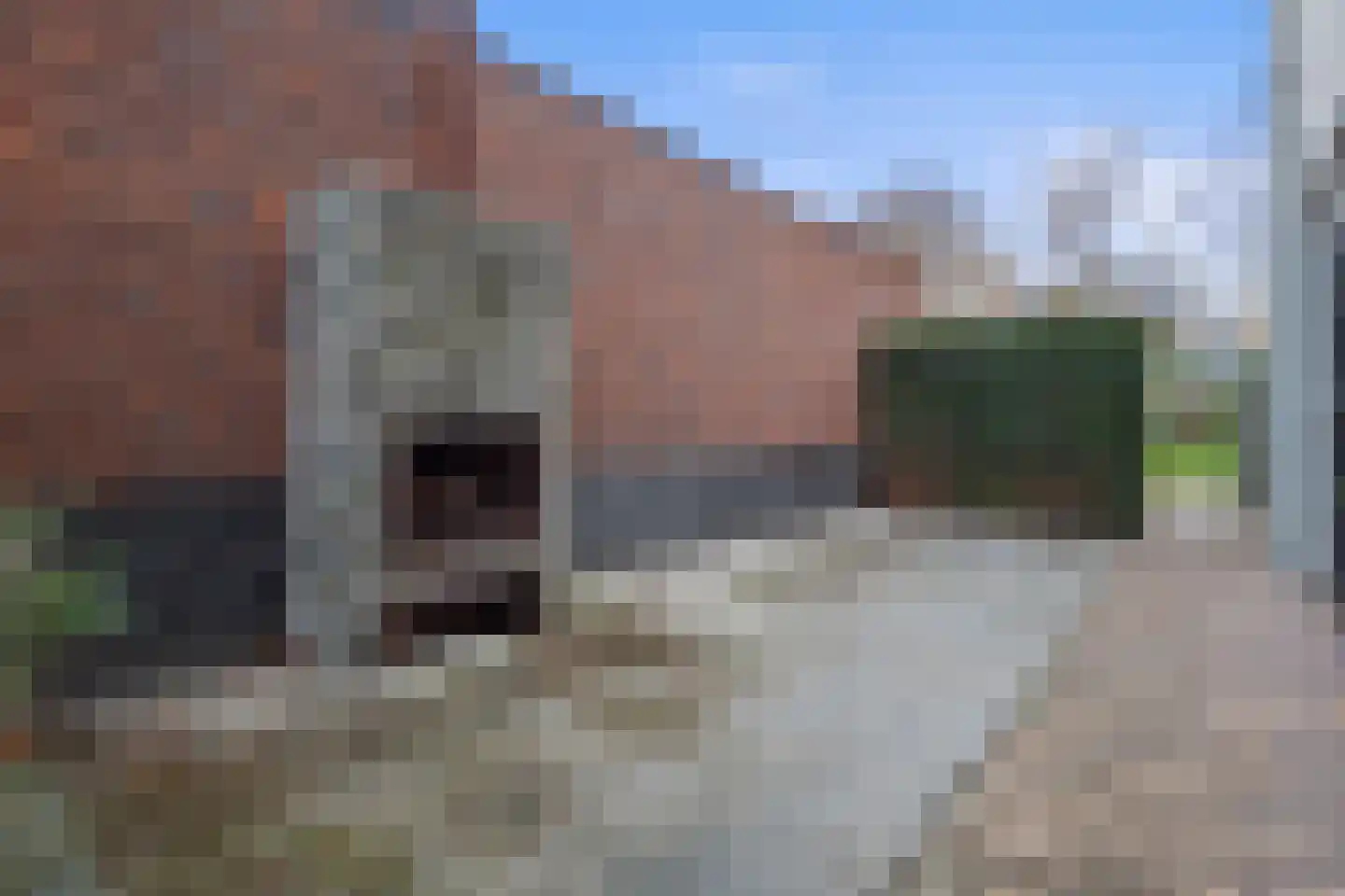 St.-Lambertusstraat 25 Cromvoirt thumbnail 48