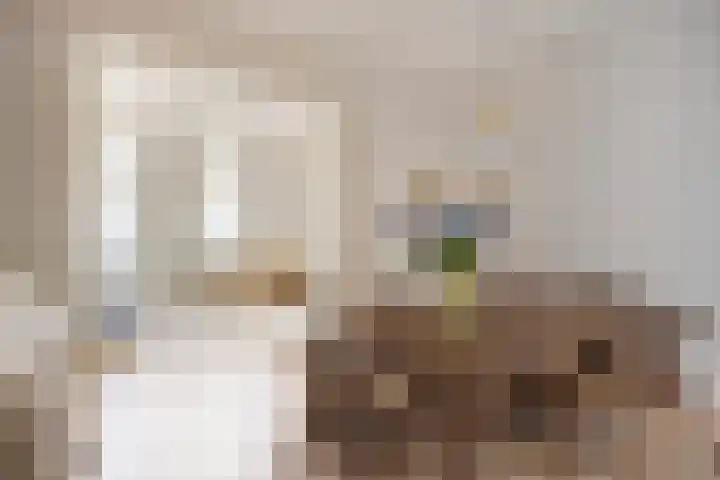St Lambertusstraat 27 Eindhoven thumbnail 14