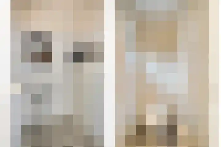 St Lambertusstraat 27 Eindhoven thumbnail 20