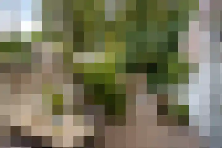 St Lambertusstraat 27 Eindhoven thumbnail 33