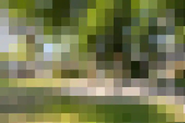 St Lambertusstraat 27 Eindhoven thumbnail 38
