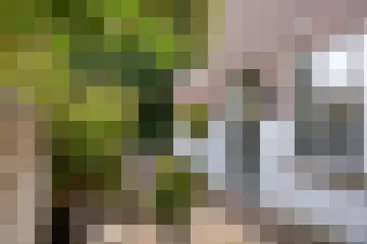 St Lambertusstraat 27 Eindhoven thumbnail 5